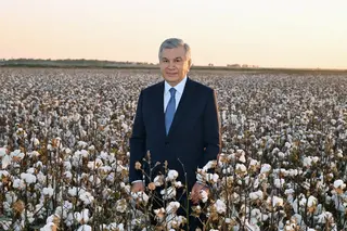 Шинжон усули пахтачиликда юқори самара бермоқда