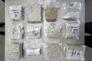 Тошкент аэропортида 6,3 кг марихуана мусодара қилинди