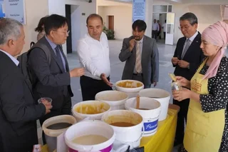 Korea invests in the development of beekeeping in Uzbekistan