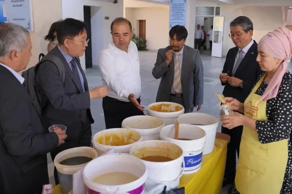 Korea invests in the development of beekeeping in Uzbekistan
