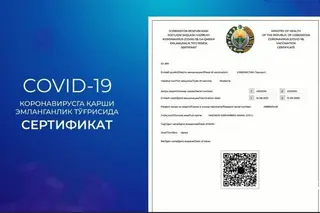Uzbekistan and Kazakhstan mutually recognized vaccination certificates
