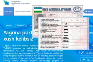 Drivers now can exchange their licenses online