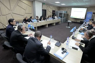Проект по выращиванию риса в Узбекистане при поддержке ФАО