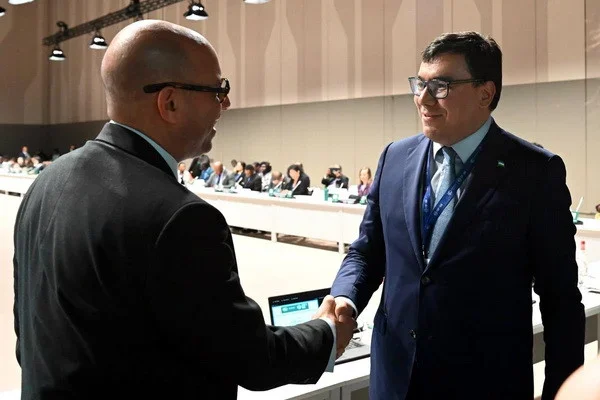 COP28: для реализации Национальных планов адаптации организована встреча высокого уровня