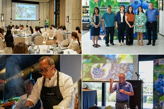 Washington Blueberries Strengthens Market Confidence in Thailand and Indonesia