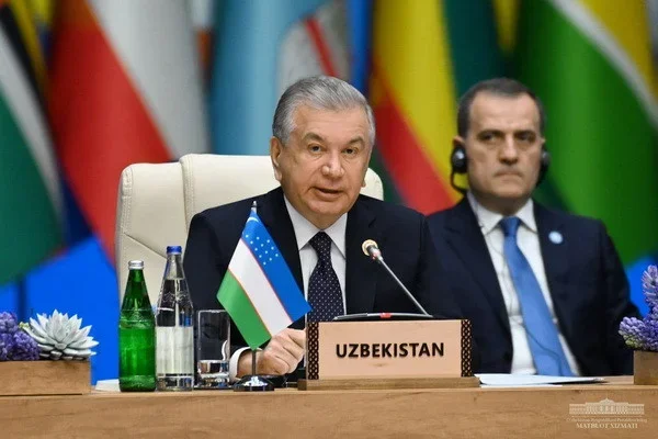 Uzbek president advocates permanent presence of NAM members in UN Security Council