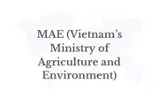 Economy, Science & Technology, And Environment: The Three New Pillars Of Vietnam - India Cooperation