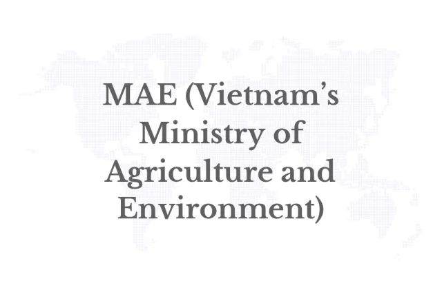 Economy, Science & Technology, And Environment: The Three New Pillars Of Vietnam - India Cooperation