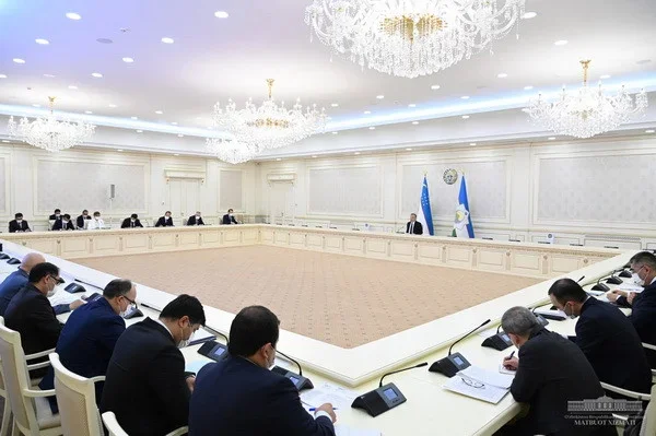New opportunities identified for the development of cotton growing and the textile industry