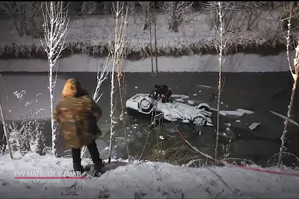Nexia car falls into the canal