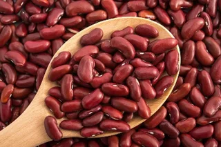 Uzbekistan and China sign protocols opening the Chinese market for Uzbek beans and dried melons