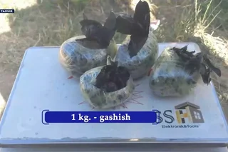Toshkent viloyatida giyohvandlik vositalarining noqonuniy aylanmasiga chek qo‘yildi