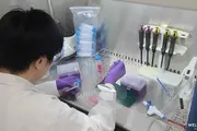 Patented Ingredients Help Malaysian Supplement Brands Stand Out as Wel-Bloom Bio-Tech Expands Market Presence