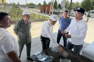 ФАО открыла три полевые школы фермеров в Ферганской долине