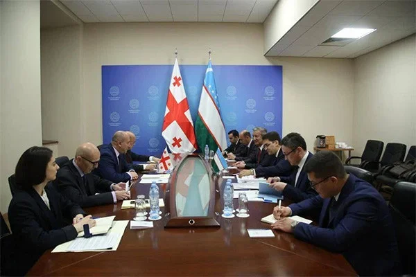МИДы Узбекистана и Грузии провели политические консультации