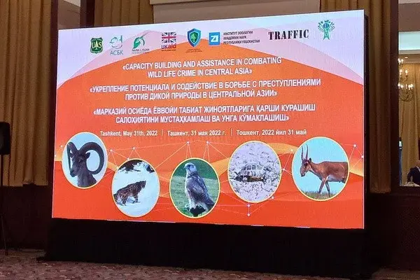 NCB Interpol took part in a seminar at a high level