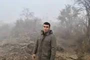 В Ташкентской области незаконно вырубили 586 деревьев и кустарников