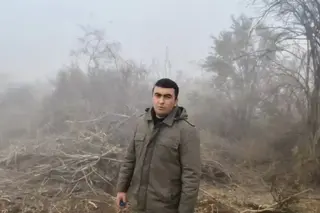 В Ташкентской области незаконно вырубили 586 деревьев и кустарников
