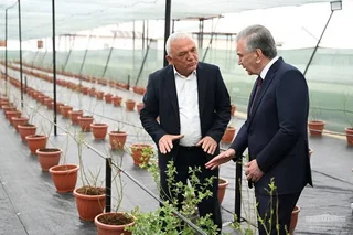 Лалмикор маҳалласида бозорбоп резаворлар етиштирилади