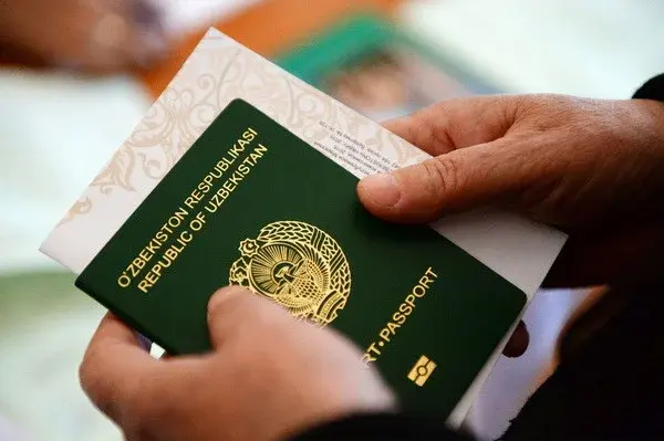 Uzbekistan may start granting citizenship in a simplified manner for large investors