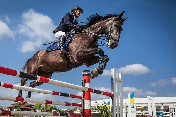 Presidential resolution “On measures for the further development of horse breeding and equestrian sport”
