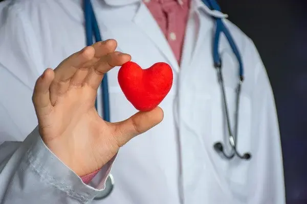 The main directions in the prevention of cardiovascular diseases are determined