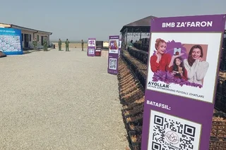 Uzbek saffron gets access to US markets