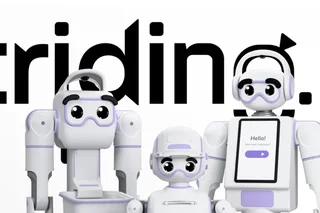 Striding AI Announces Plans to Develop Next-Generation Robotic Foundation Systems for Physical AI Deployment