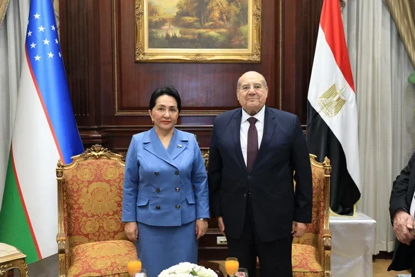 Chairperson of the Senate meets with the Chairman of the Senate of Egypt