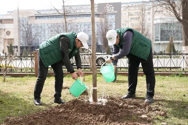 В Узбекистане запланированы масштабные работы по озеленению