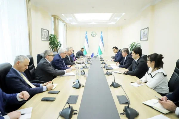 A meeting takes place with the delegation of the European Parliament