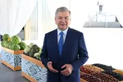 Шавкат Мирзиёев ознакомился с птицеводческим кластером и суперинтенсивным садом в Наманганской области