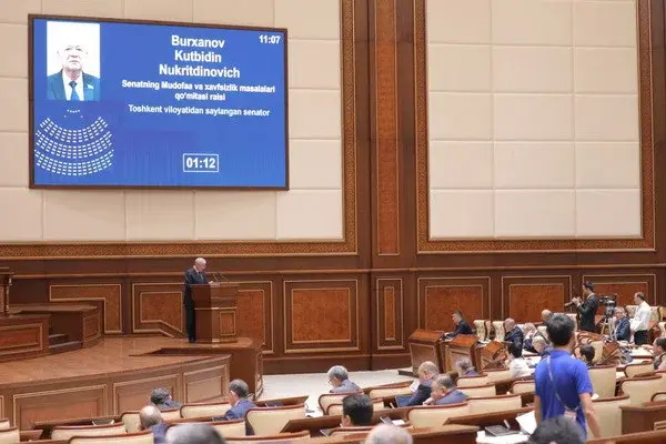 Senate approves the Law “On security activities”