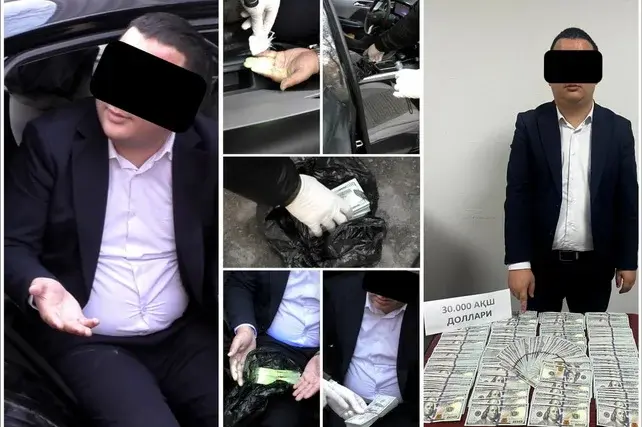 Тошкент вилоятида банк ходими 110 000 доллар пора олишга уринишда ушланди