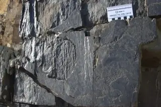 В Джизакской области обнаружены новые стоянки и петроглифы