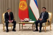 Узбекистан и Кыргызстан договорились расширить сотрудничество в здравоохранении
