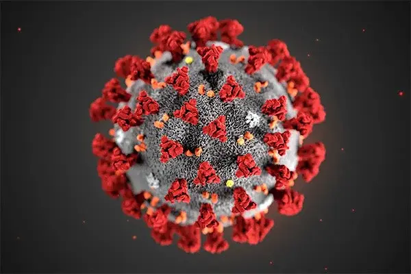 Number of confirmed cases of coronavirus has reached eight in Uzbekistan