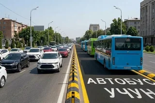 Toshkentda avtobuslar uchun ajratilgan yo‘laklar to‘siqlar bilan himoyalanadi