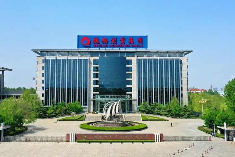 Shared Revitalization Journey of Weiqiao Pioneering Group, Weiqiao Town