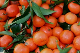 O‘zbekiston 2025 yilning 11 oyida 1,1 million tonnadan ortiq mandarin import qildi