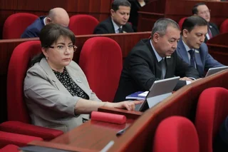 Закон о ратификации Устава Центра чистой энергии ОЭС одобрен